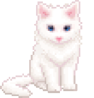 White Kitty Cat Sticker GIF