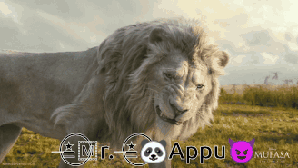 White Lion in Grassy Field With Appu Mufasa