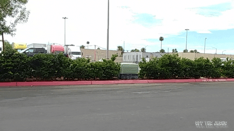 White Lowrider Cruising GIF