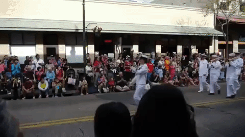 White Musical Parade GIF