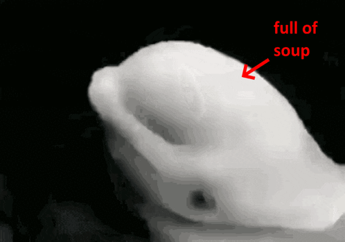White Object With Red Arrow Pointing to Soup