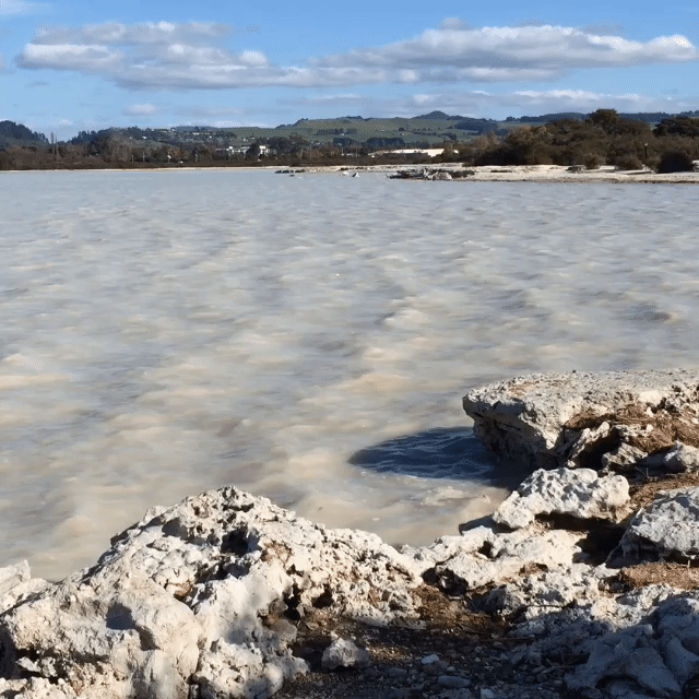 White Ocean Wave GIF