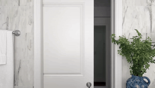 White Open Door to Marble Bathroom