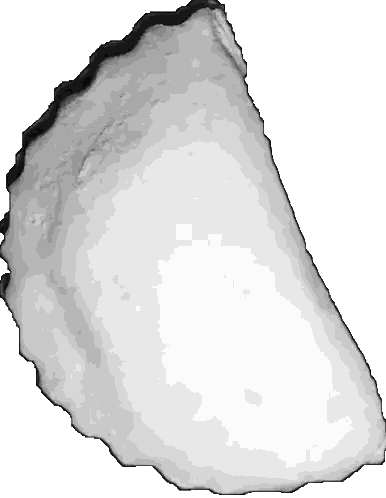 White Paper with Black Outline