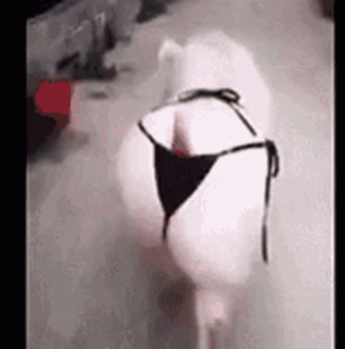 White Pig Walking In Black Bikini GIF