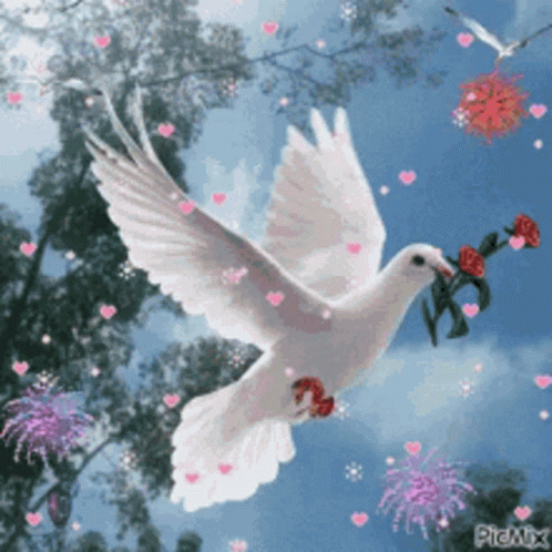 White Pigeon Flying With Hearts and Flowers