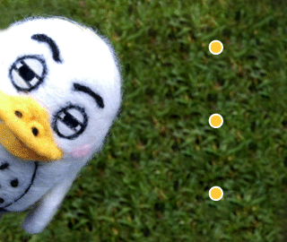 White Platypus Suspicious Stare GIF