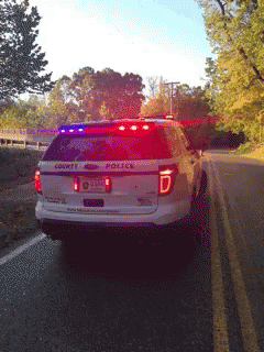 White Police Car Lights GIF