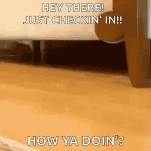 White Puppy Hey There How Are You Doing GIF