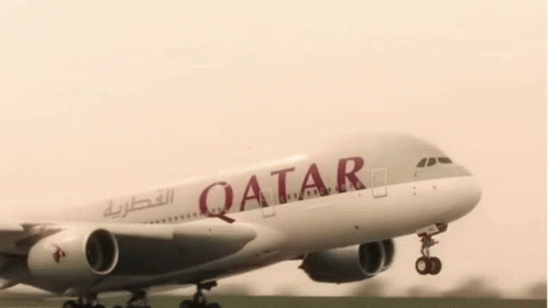 White Qatar Airplane Taking Off GIF