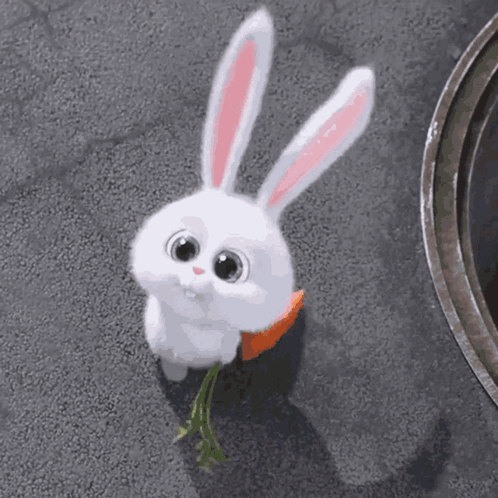 White Rabbit Eating Carrot GIF