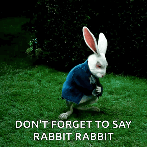 White Rabbit In Blue Jacket Says Rabbit Rabbit GIF