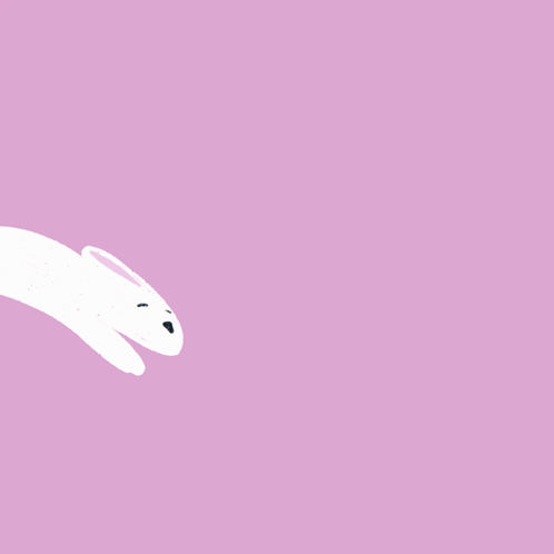 White Rabbit Laying Down On Purple Background GIF
