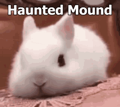 White Rabbit Laying on Bed Haunted Mound