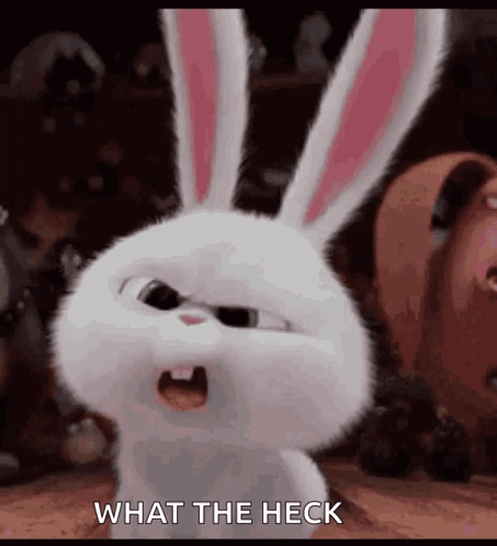White Rabbit Making Funny Face Saying What the Heck