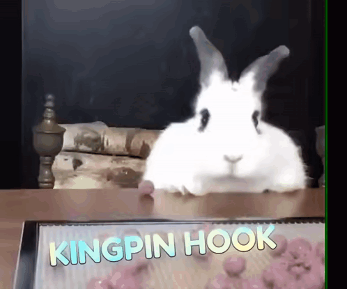 White Rabbit Next To Kingpin Hook Box GIF