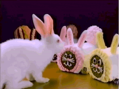 White Rabbit Next To Pink And Yellow Rabbit GIF