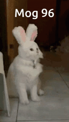 White Rabbit Standing on Hind Legs Mog 96