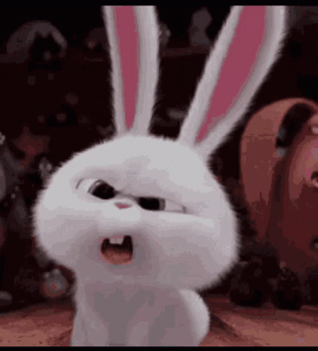 White Rabbit With Pink Ears Standing With Mouth Open