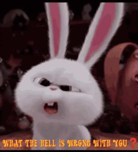 White Rabbit With Pink Ears What The Hell Is Wrong With You GIF