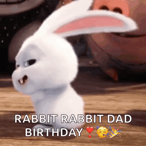 White Rabbit With Rabbit Rabbit Dad Birthday GIF