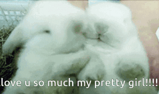 White Rabbits Laying Love U So Much My Pretty Girl GIF