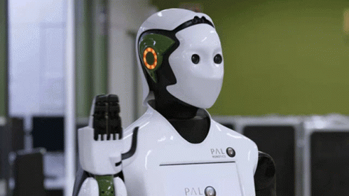 White Robot with Palo Word