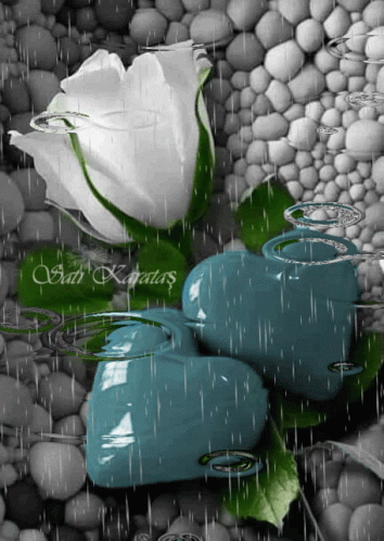 White Rose And Two Blue Hearts With Rain Drops GIF