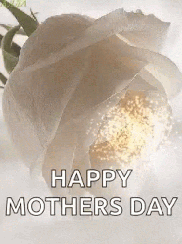 White Rose Animation Happy Mother Day GIF