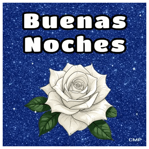 White Rose on Blue Background Buenas Noches