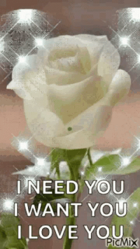 White Rose With I Need You I Want You I Love You