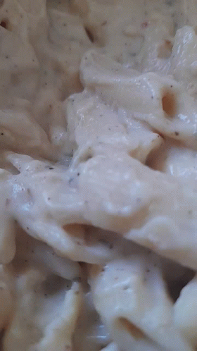 White Sauce Penne Pasta Dish Recipe GIF