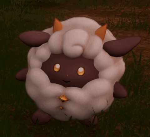 White Sheep With Brown Ears and Gold Coin