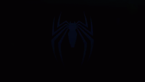 White Spider On Black Background GIF