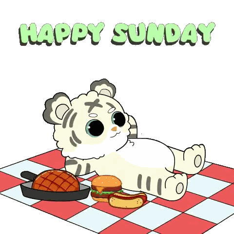 White Tiger Lying on Checkered Blanket