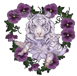 White Tiger Surrounded by Purple Flowers