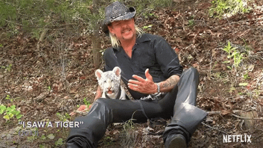 White Tiger With Tiger King GIF