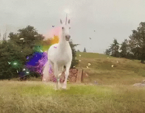 White Unicorn Running Rainbow