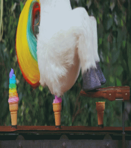 White Unicorn With Rainbow on Head
