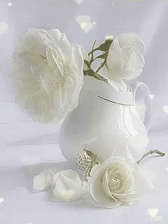White Vase Filled With White Roses GIF