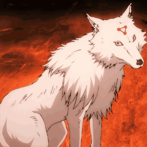 White Wolf With Red Eyes Standing in Field