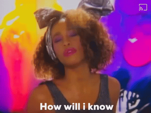 Whitney Houston How Will I Know GIF