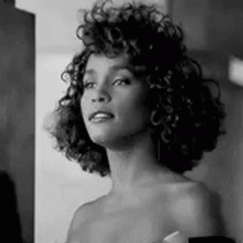 Whitney Houston Queen Of Pop Posing GIF