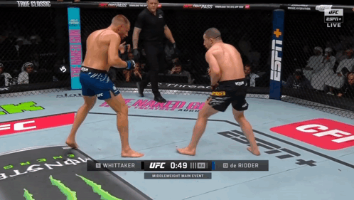 Whittaker Loses Again Is Anyone Shocked GIF