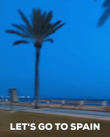 Whizzing Palm Trees Spain Car Ride GIF