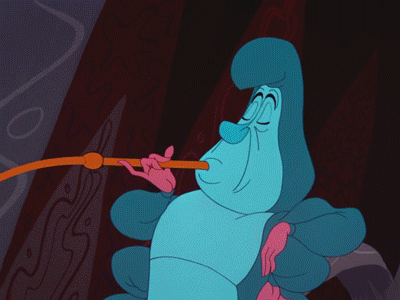 Who Are You Alice In Wonderland GIF