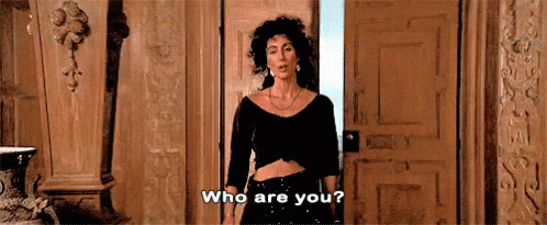 Who Are You - Cher GIF