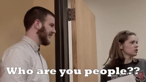 Who Are You People Lady With Bat GIF