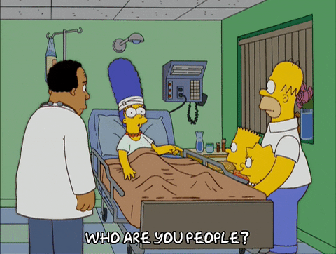 Who Are You People Margie Simpson GIF