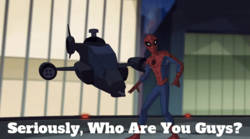 Who Are You People Spiderman Cartoon GIF